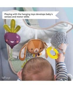Taf Toys Παιχνίδι για το αυτοκίνητο Urban Garden In Car Activity Center - Image 2